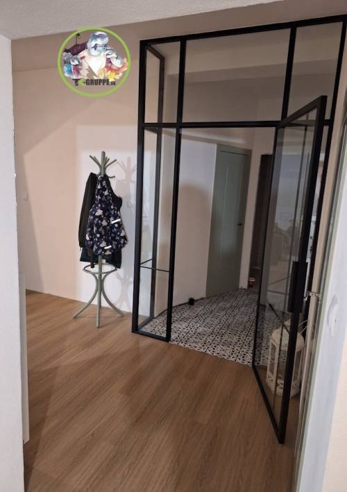 kovove-dvere-s-presklenim-topolcianky3_original